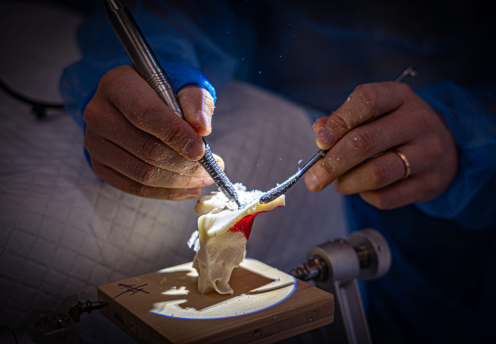 Temporal Bone Beginner Course at Geneva University Hospitals