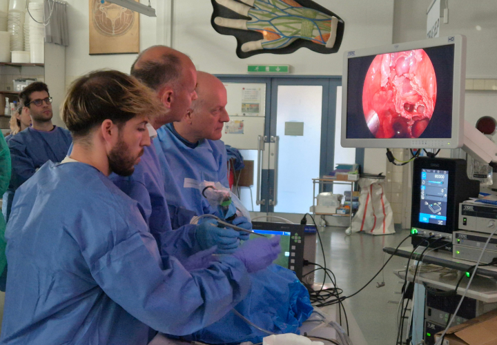 Formation en endoscopie ORL